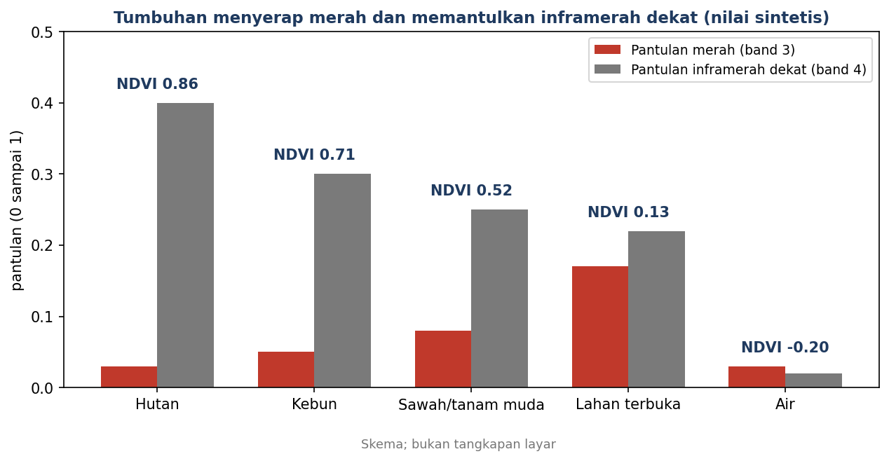 Grafik batang nilai sintetis: pantulan merah dan inframerah dekat untuk lima jenis tutupan, beserta NDVI-nya