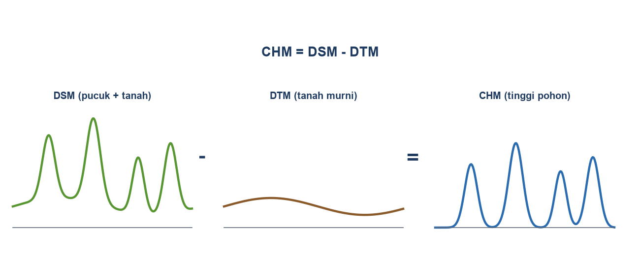 Diagram tiga profil: DSM berisi pucuk pohon dan tanah, DTM hanya tanah, dan CHM sebagai selisihnya berupa tinggi pohon.