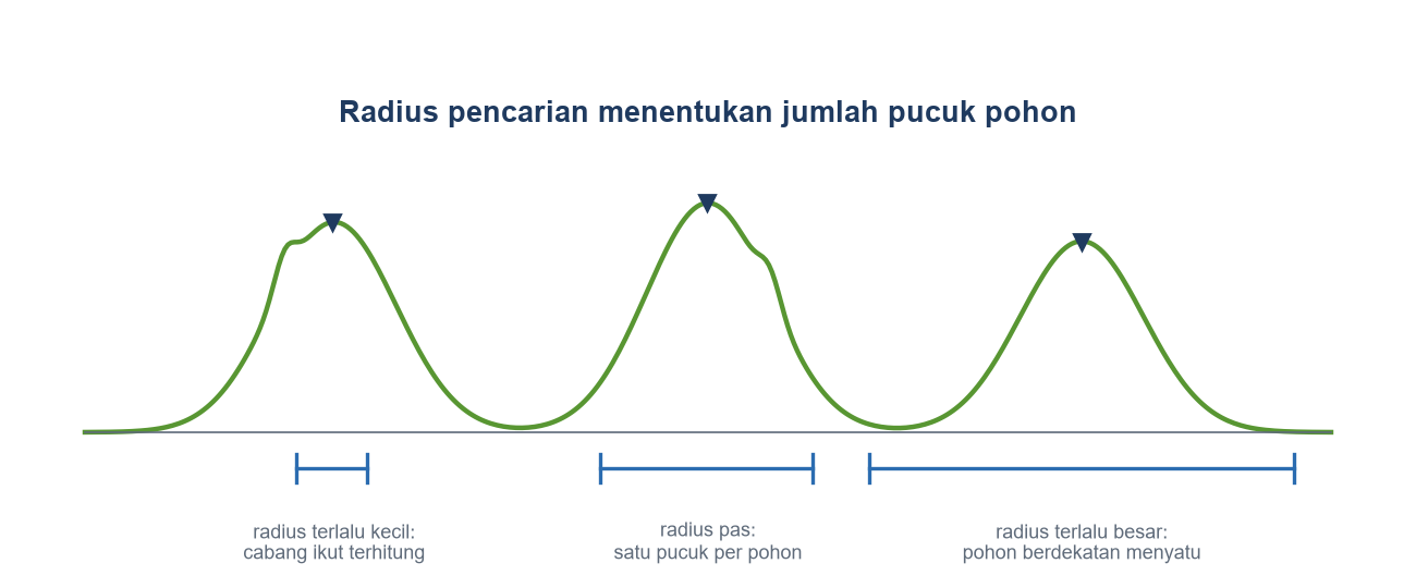 Profil kanopi dengan tiga pohon dan tiga contoh radius: terlalu kecil membuat cabang ikut terhitung, pas menghasilkan satu pucuk per pohon, terlalu besar menyatukan pohon berdekatan.