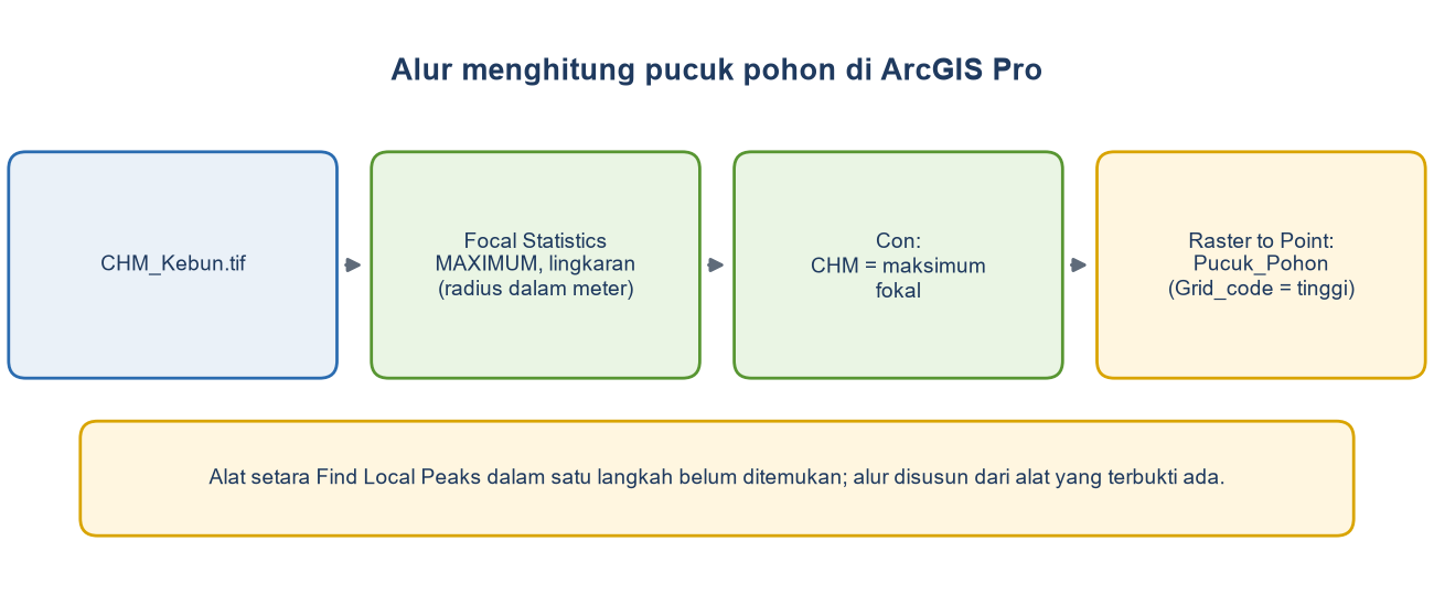 Diagram alur: CHM, Focal Statistics maksimum dengan lingkaran, Con untuk memilih sel yang sama dengan maksimum fokal, lalu Raster to Point.