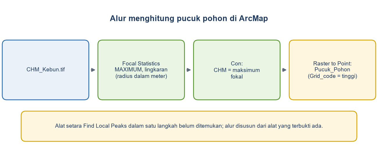 Diagram alur: CHM, Focal Statistics maksimum dengan lingkaran, Con untuk memilih sel yang sama dengan maksimum fokal, lalu Raster to Point.