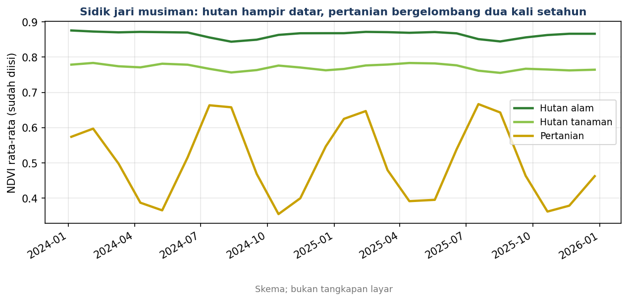 Skema: NDVI rata-rata hutan alam, hutan tanaman, dan pertanian sepanjang 24 tanggal