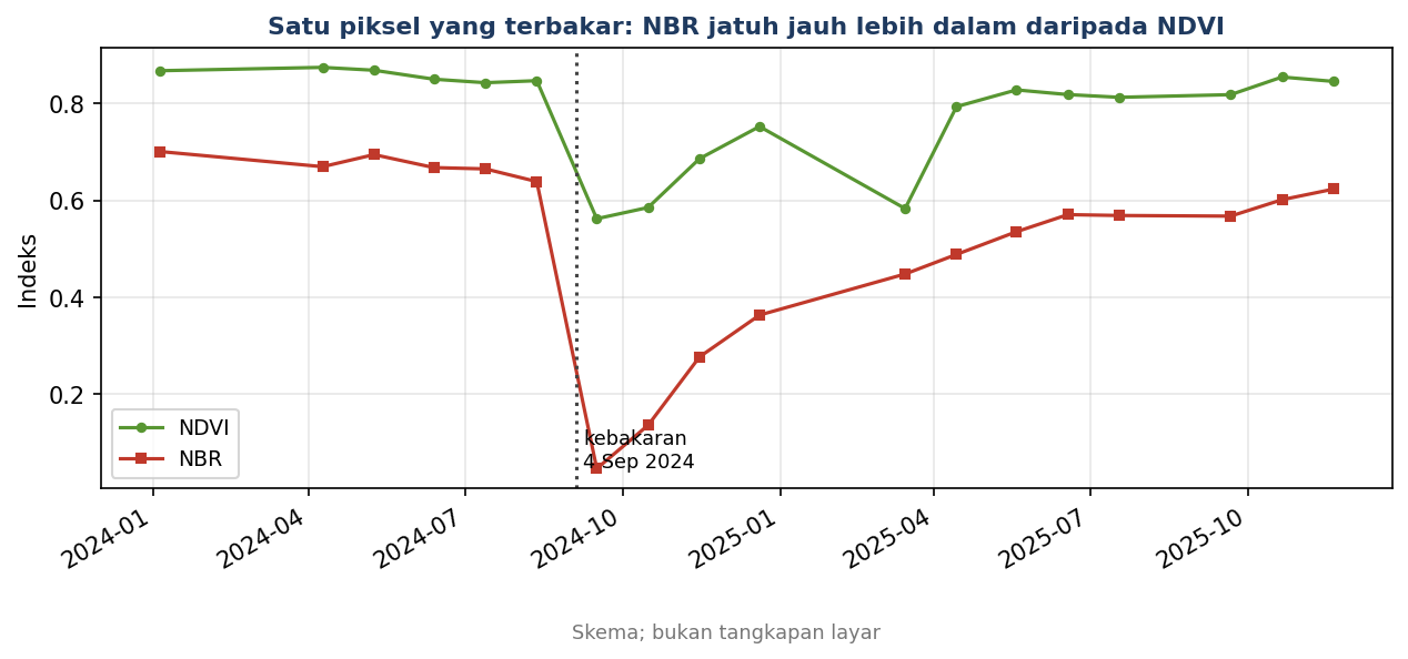 Satu piksel di Beta: NBR jatuh jauh lebih dalam daripada NDVI saat kebakaran 4 September 2024
