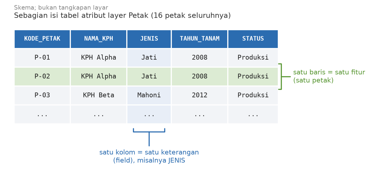 Skema tabel atribut layer Petak, satu baris disebut fitur dan satu kolom disebut field